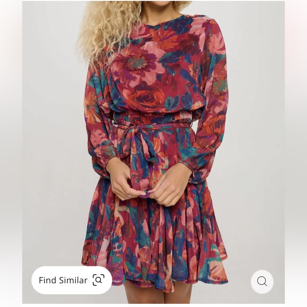 Meet Me In Santorini |  Chiffon Long Sleeve Dress In Ember Garden Size Small